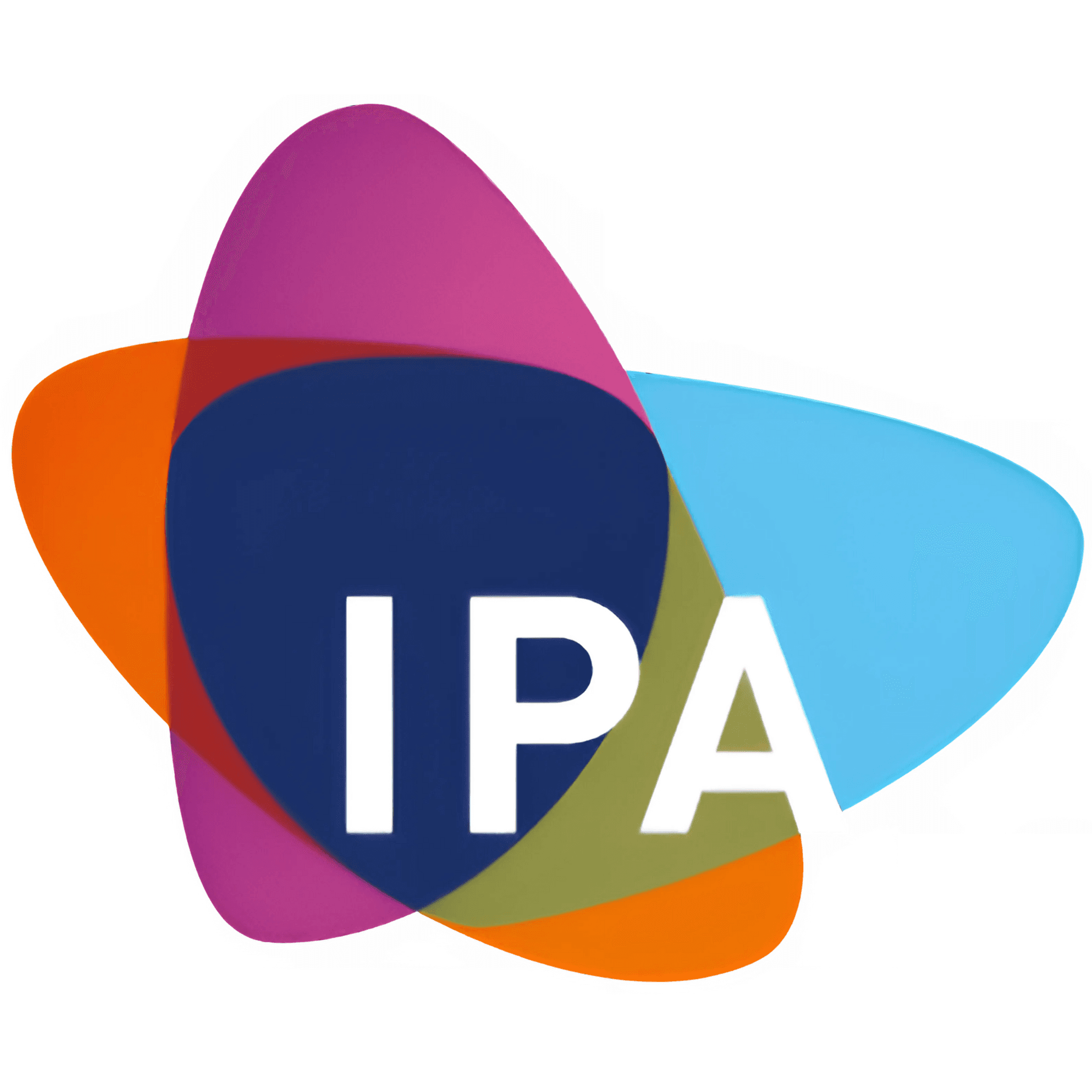 Institute of Public Accountants